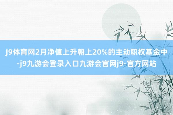 J9体育网　　2月净值上升朝上20%的主动职权基金中-j9九游会登录入口九游会官网j9·官方网站
