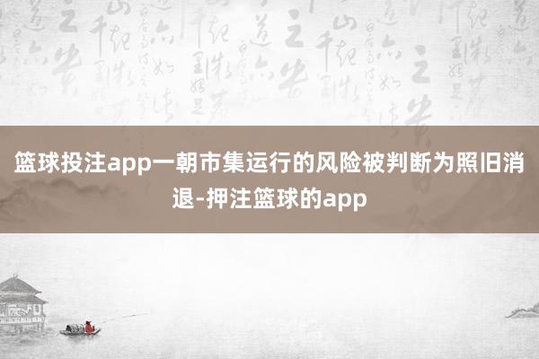 篮球投注app一朝市集运行的风险被判断为照旧消退-押注篮球的app
