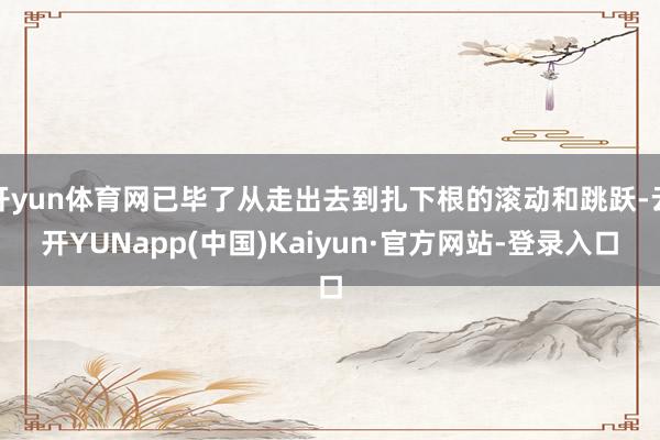 开yun体育网已毕了从走出去到扎下根的滚动和跳跃-云开YUNapp(中国)Kaiyun·官方网站-登录入口