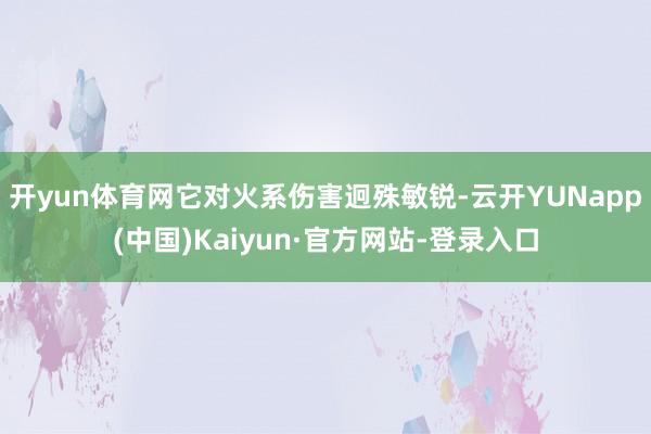 开yun体育网它对火系伤害迥殊敏锐-云开YUNapp(中国)Kaiyun·官方网站-登录入口