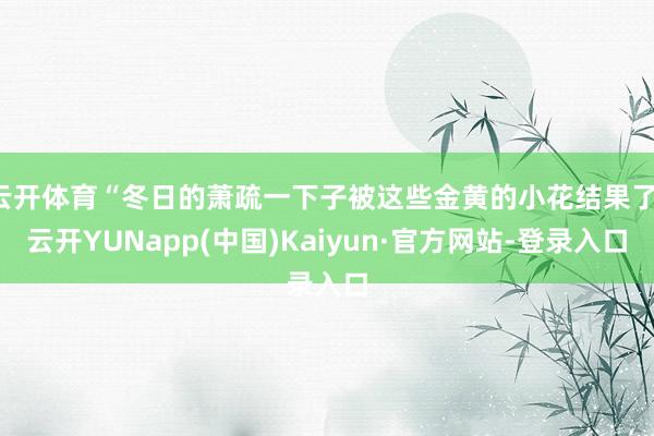 云开体育“冬日的萧疏一下子被这些金黄的小花结果了-云开YUNapp(中国)Kaiyun·官方网站-登录入口