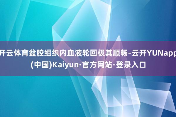 开云体育盆腔组织内血液轮回极其顺畅-云开YUNapp(中国)Kaiyun·官方网站-登录入口