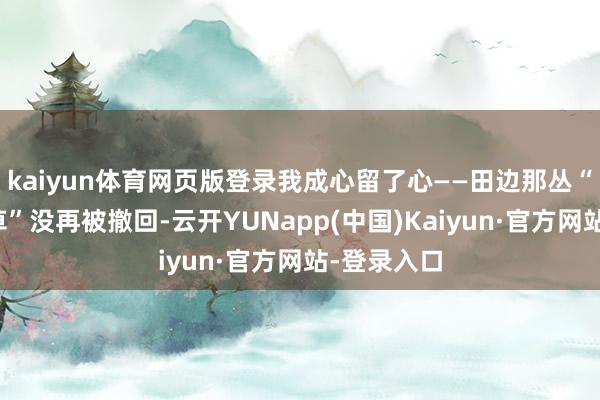 kaiyun体育网页版登录我成心留了心——田边那丛“巨人对坐草”没再被撤回-云开YUNapp(中国)Kaiyun·官方网站-登录入口