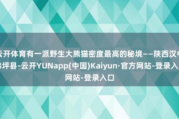 云开体育有一派野生大熊猫密度最高的秘境——陕西汉中佛坪县-云开YUNapp(中国)Kaiyun·官方网站-登录入口