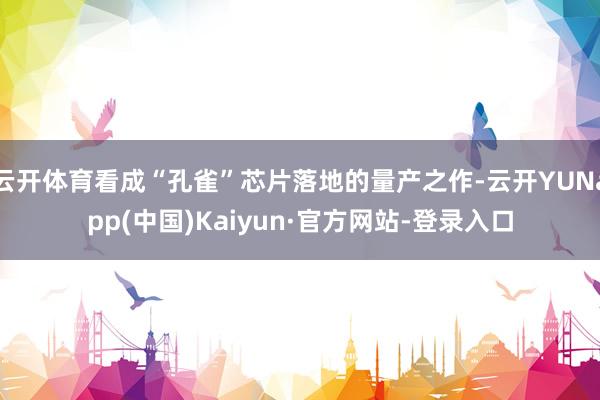 云开体育看成“孔雀”芯片落地的量产之作-云开YUNapp(中国)Kaiyun·官方网站-登录入口